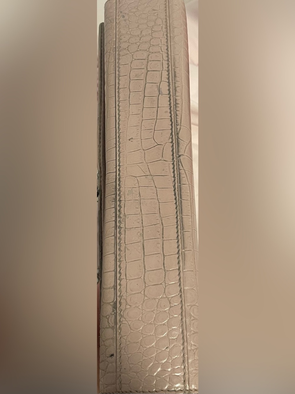 Saint Laurent Nude Croc-Embossed Crossbody Bag - Picture 13 of 15